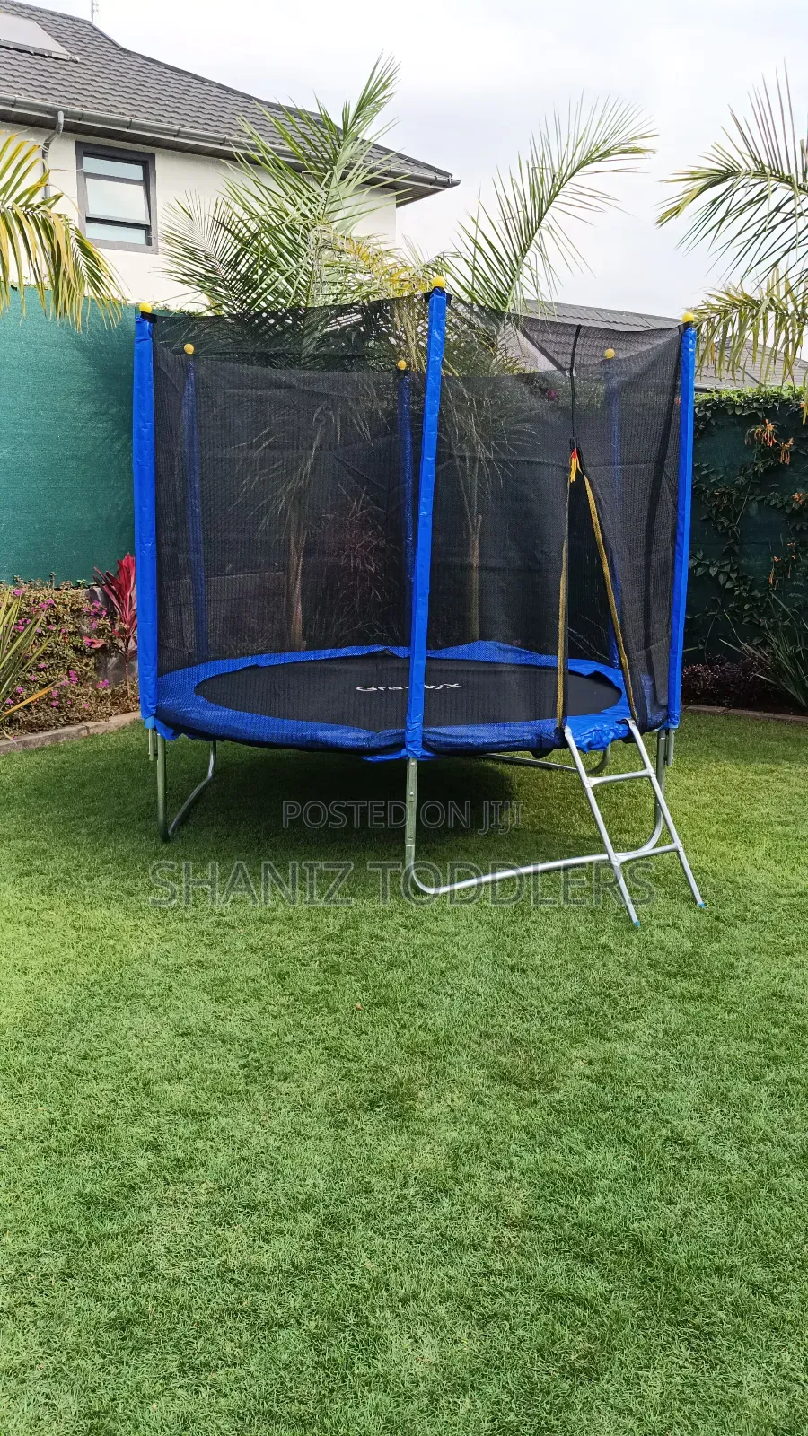 8ft Trampoline With Ladder