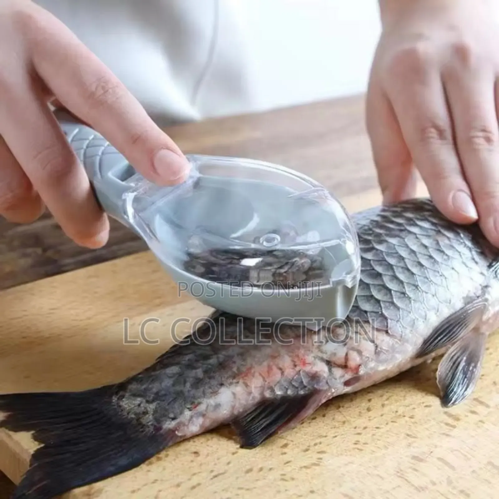 Fish Scale Graters