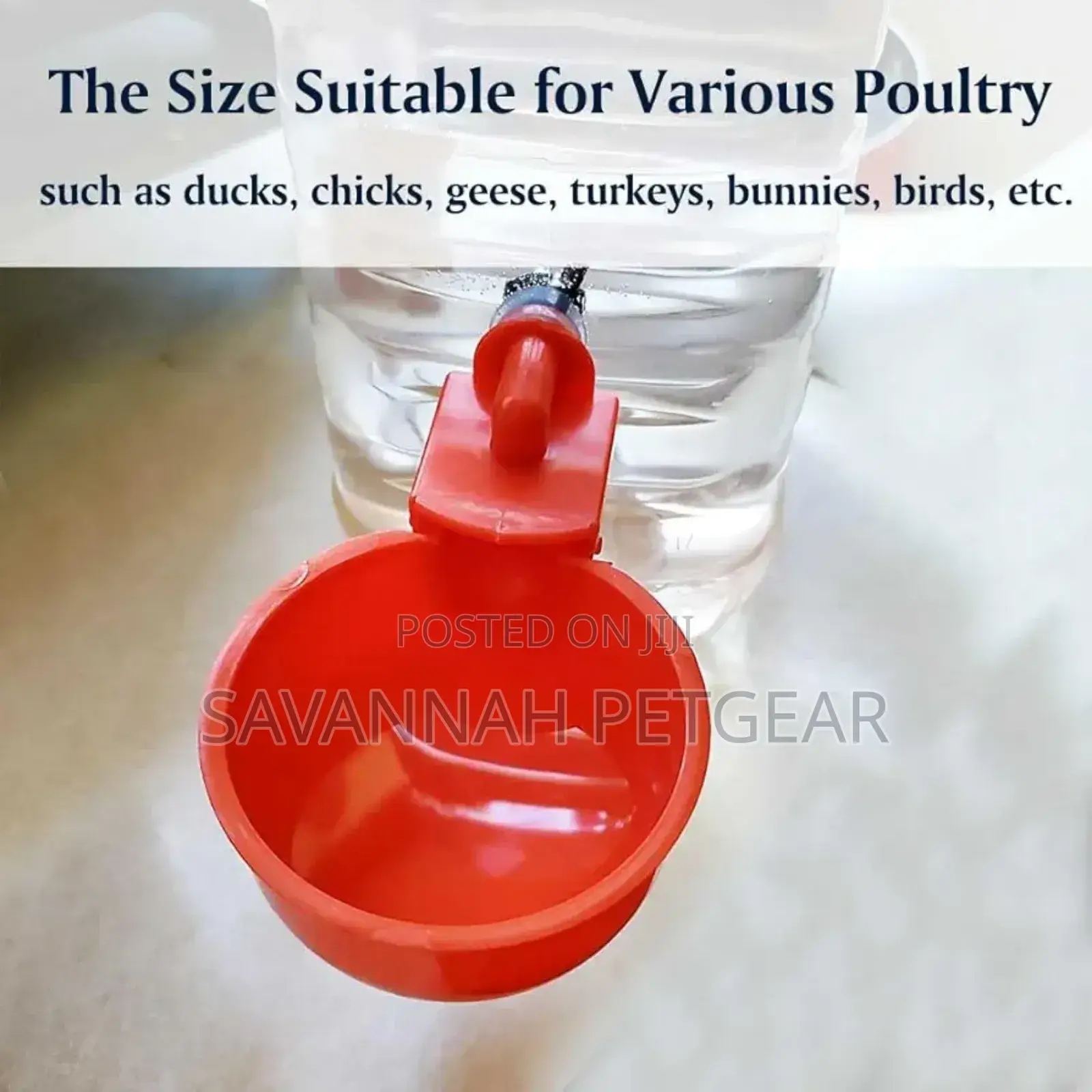 Automatic Chicken, Quail Waterer Cups, Waterer Feeder - 6pcs