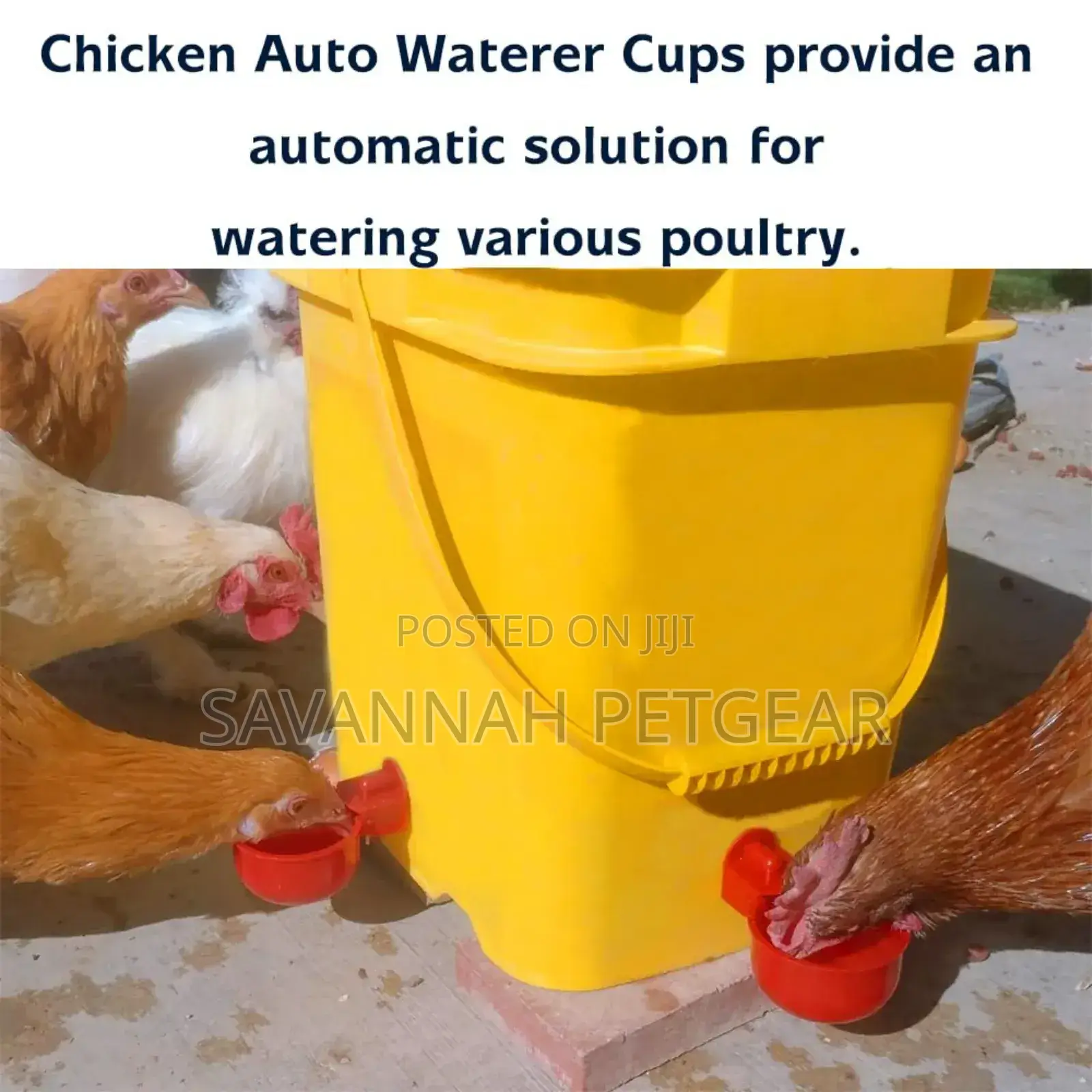Automatic Chicken, Quail Waterer Cups, Waterer Feeder - 6pcs