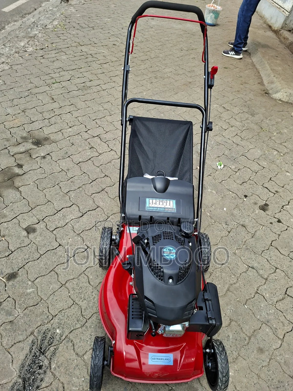 Grass Cutter / Lawn Mower.
