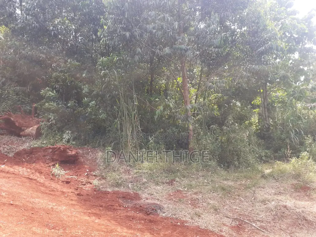 Eighth Acre Plot on Sale in Nguriunditu Nderi Sigona Kikuyu