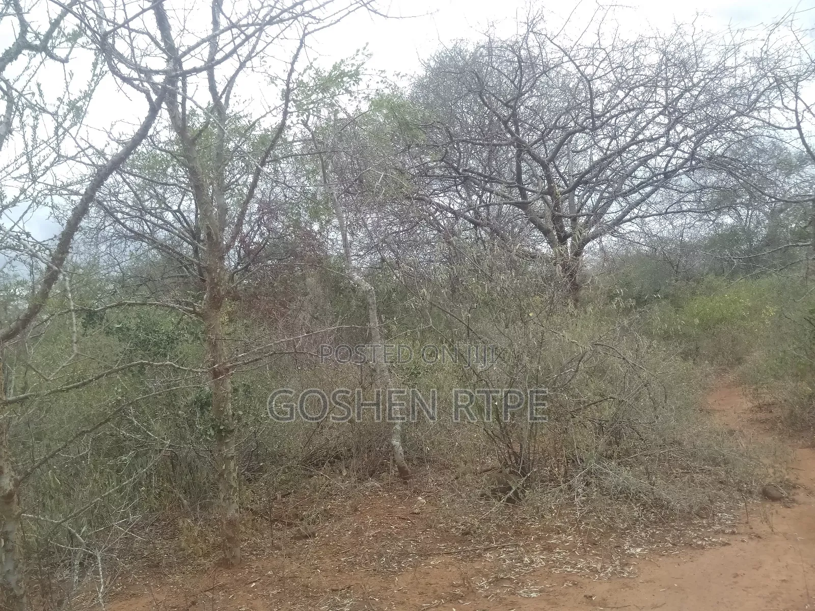 Prime 581 Acres At /Ac On Sale At Athi Town Ikutha Kitui