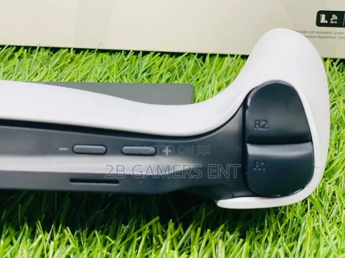 PSP (Play Station Portable)