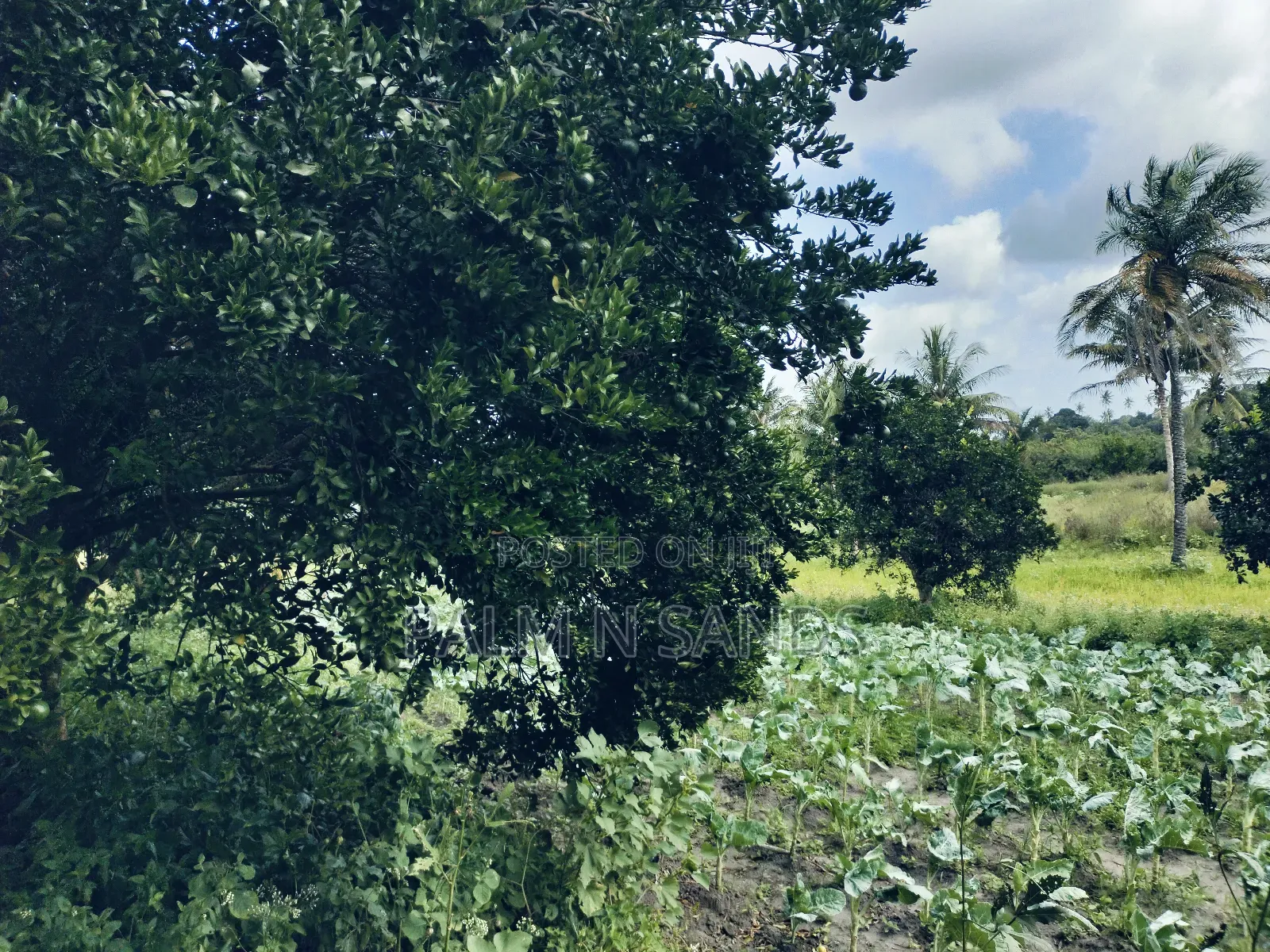7.5 Acre Established Farm On Sale!