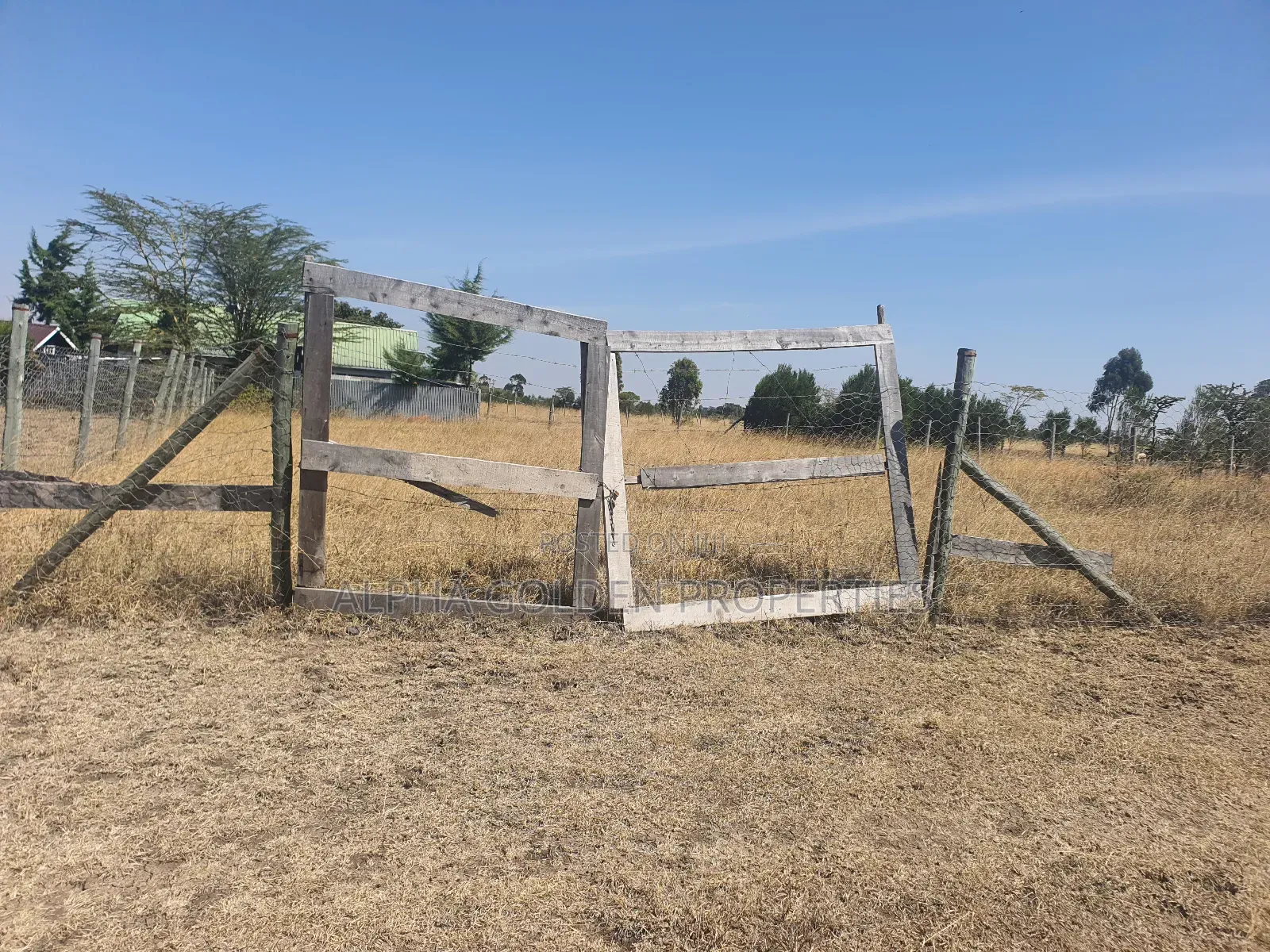 Nanyuki Plots Opposite Lifestyle Villas