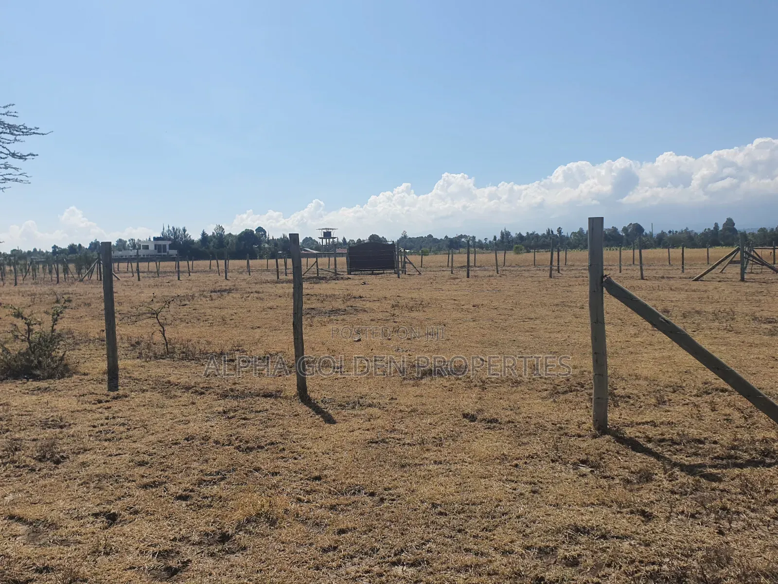 Nanyuki Plots Opposite Lifestyle Villas