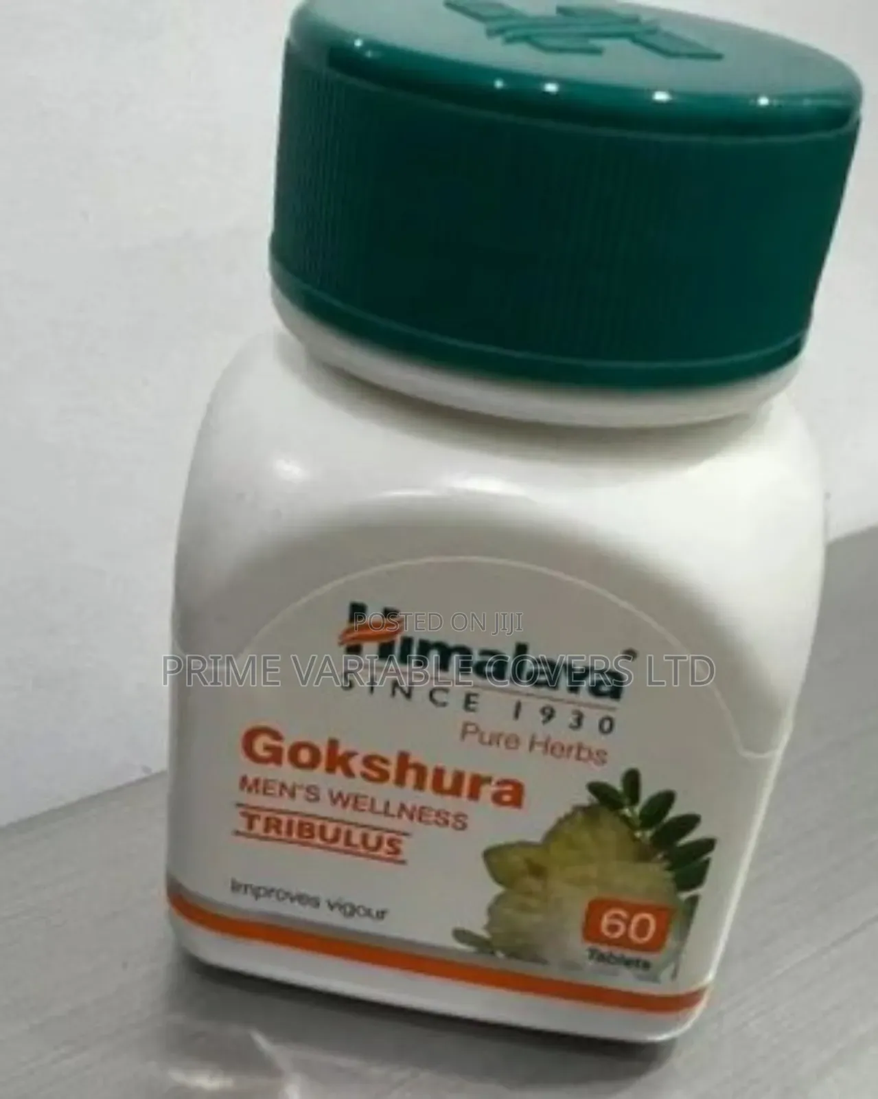 Boost Your Vitality Naturally With Gokshura