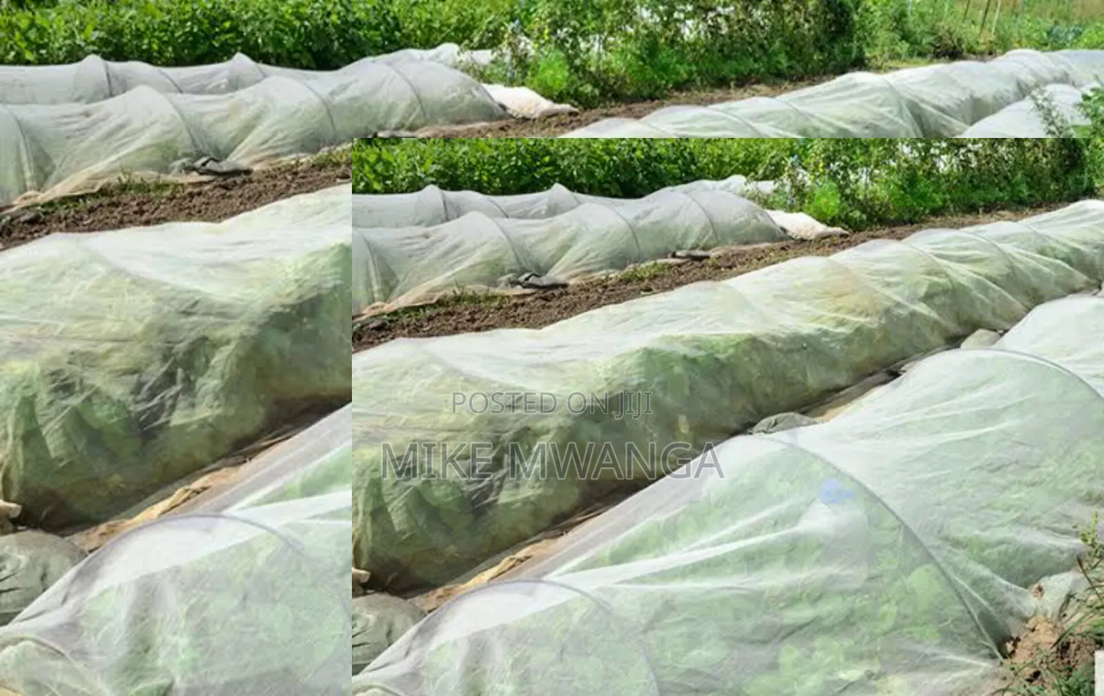 Protective Insect Net /2.5*50m