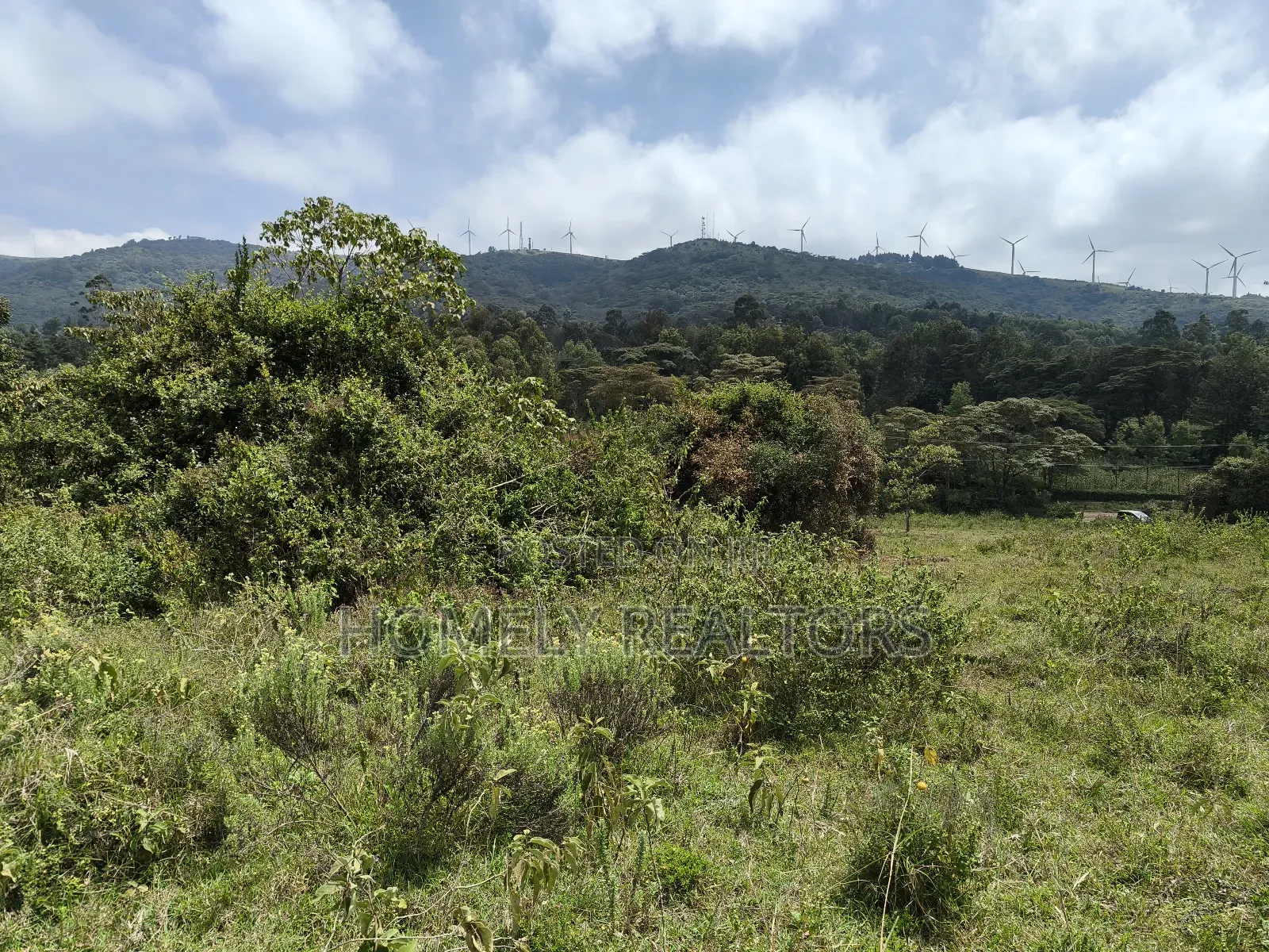 Half Acre Plot in Ngong Nalepo, Kahara Road With Scenic View