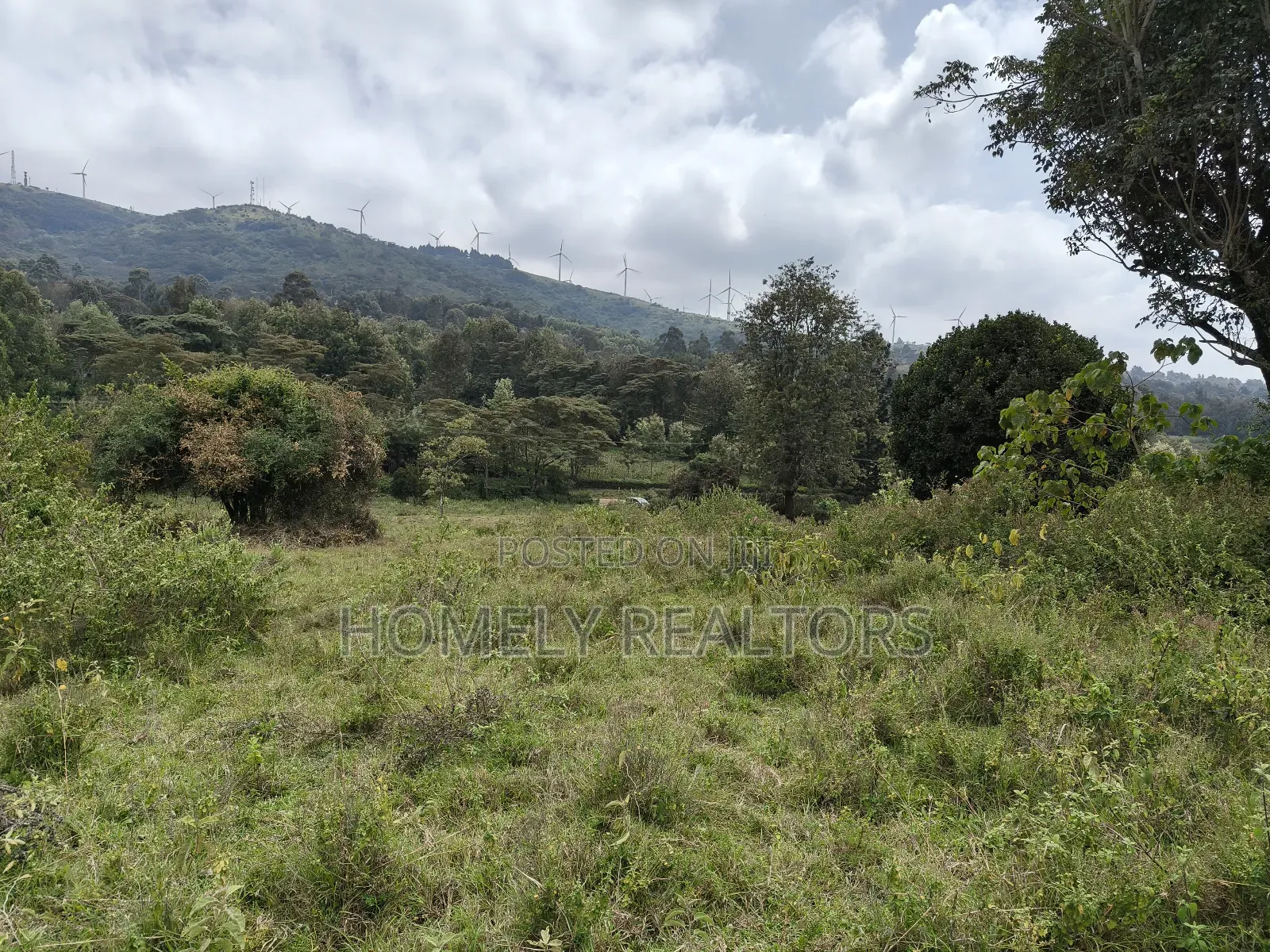 Half Acre Plot in Ngong Nalepo, Kahara Road With Scenic View