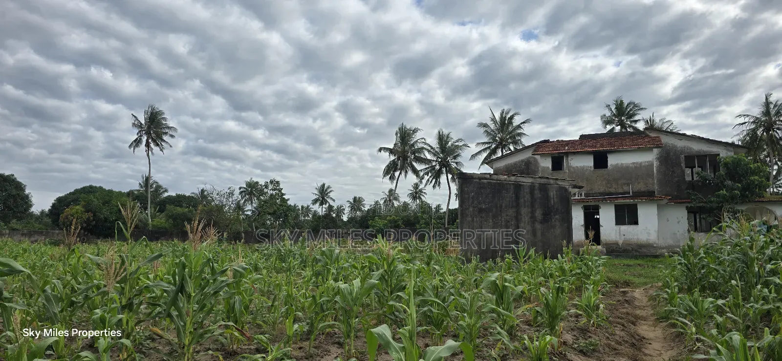 6-Acre Parcel for Sale – Bomani, Kilifi County
