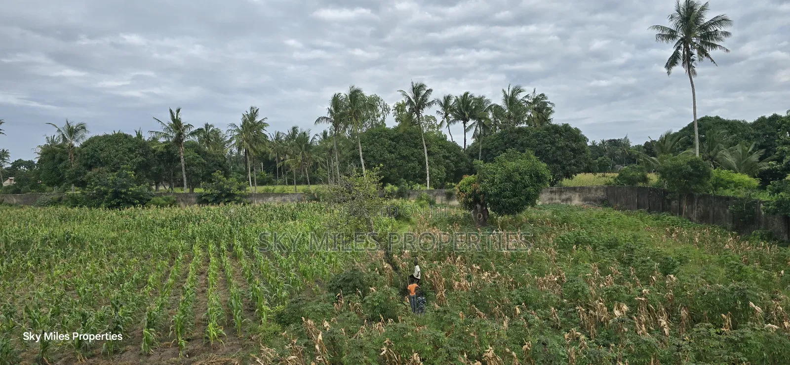 6-Acre Parcel for Sale – Bomani, Kilifi County