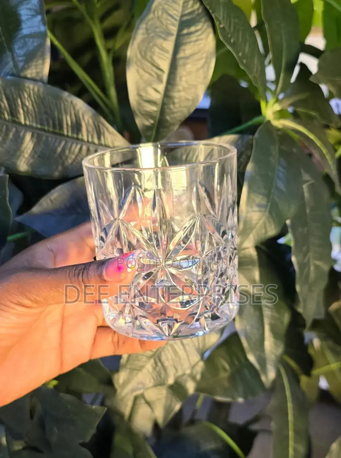 6pcs High Quality Short Glasses