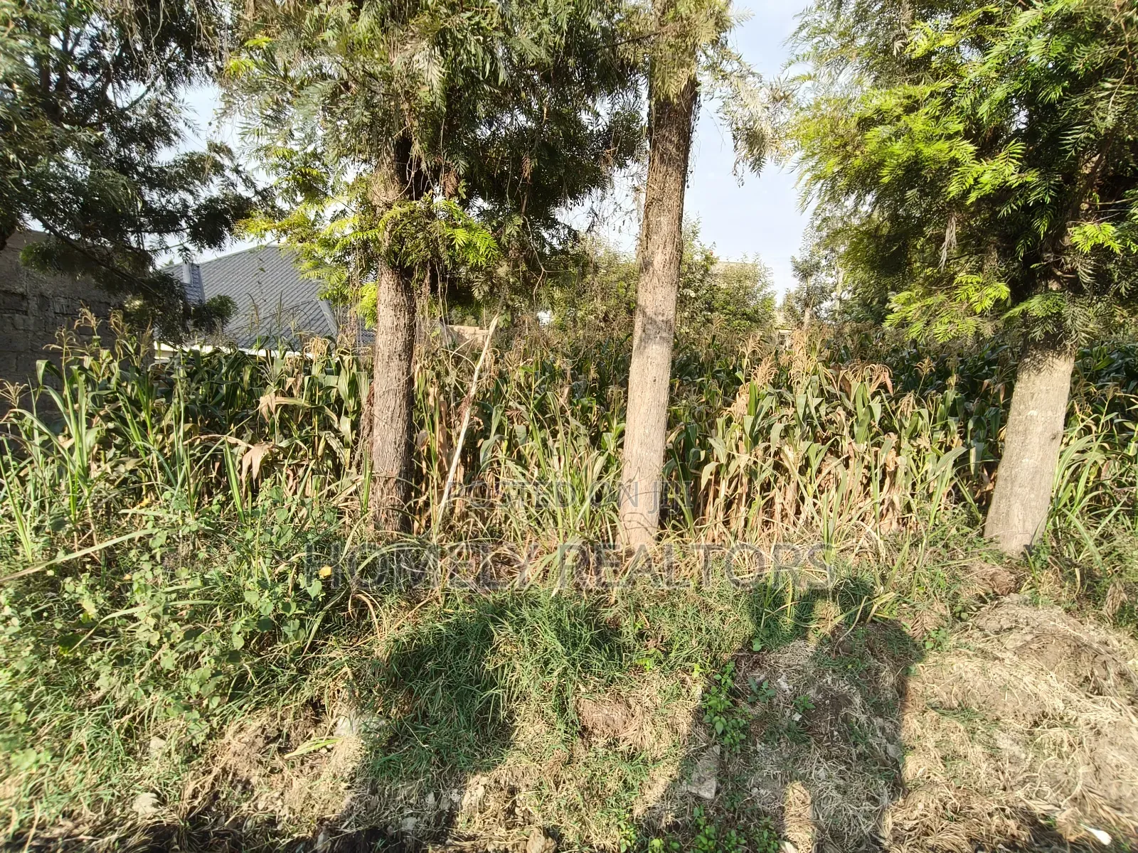 Residential Eighth Acre Plot in Ngong, Olkeri 250 Meters From Tarmac