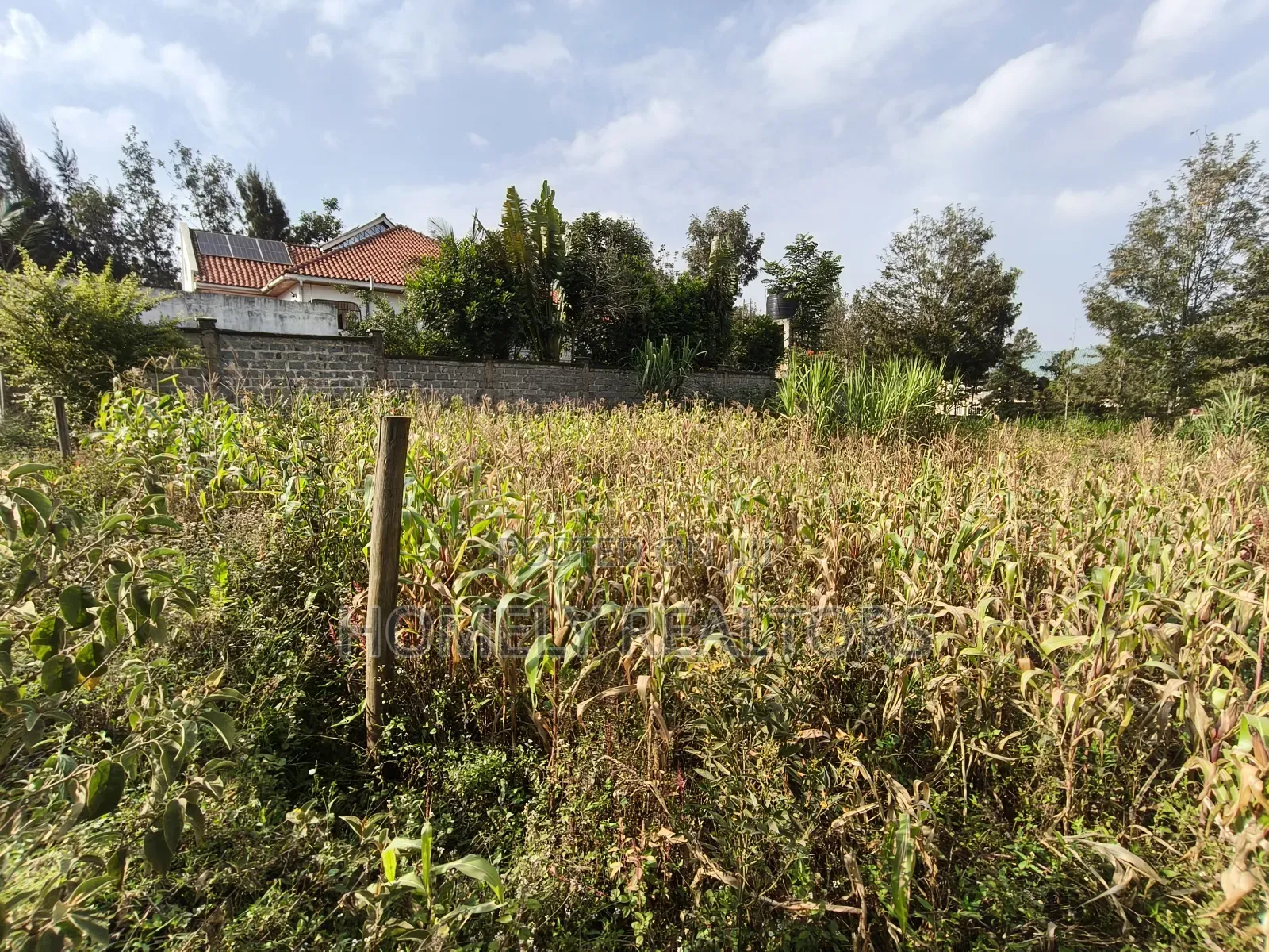 Residential Eighth Acre Plot on Sale in Ngong, Matasia Near Tarmac