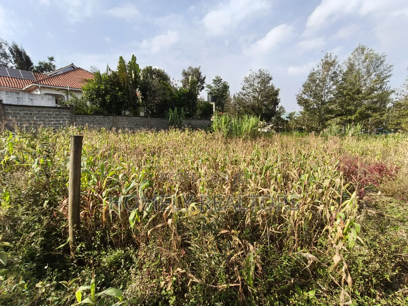 Residential Eighth Acre Plot on Sale in Ngong, Matasia Near Tarmac