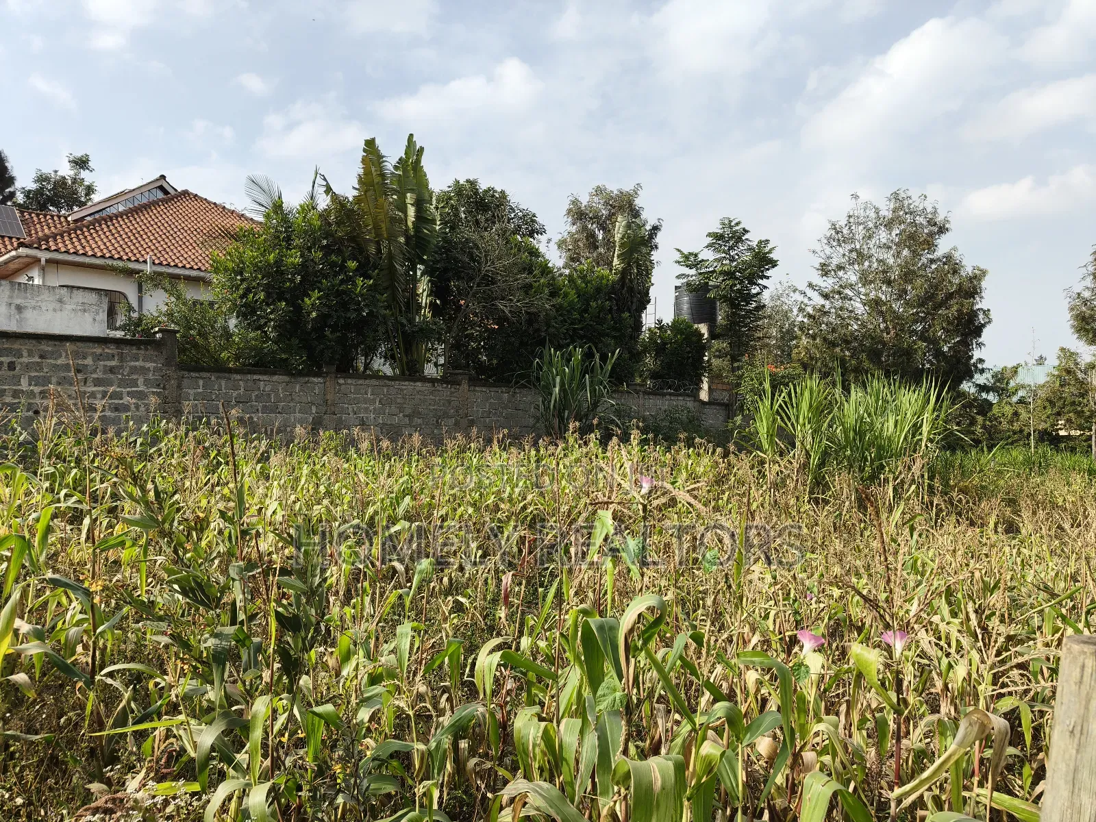Residential Eighth Acre Plot on Sale in Ngong, Matasia Near Tarmac