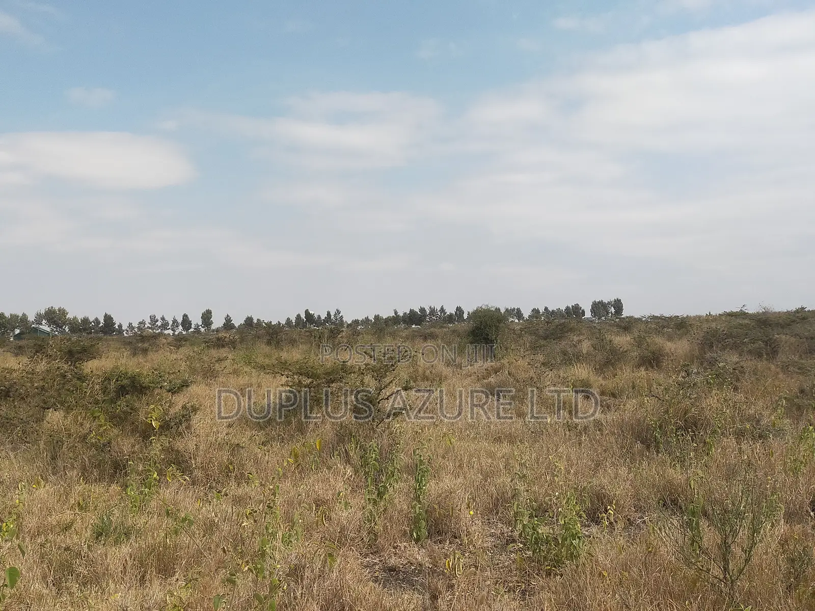 4 Acres in Kajiado-Ildamat