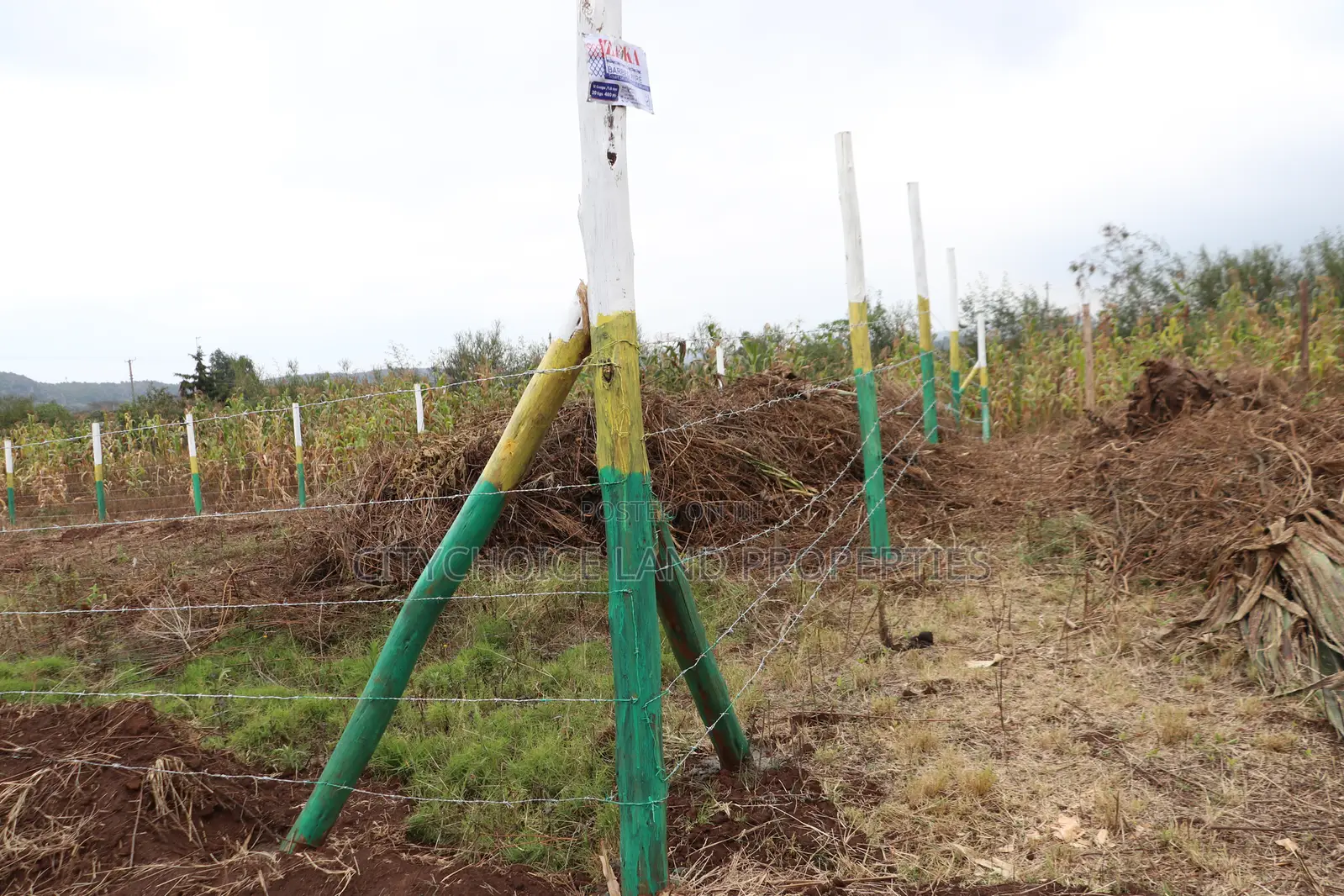 Mbomboini Estate – Prime Plots for Sale