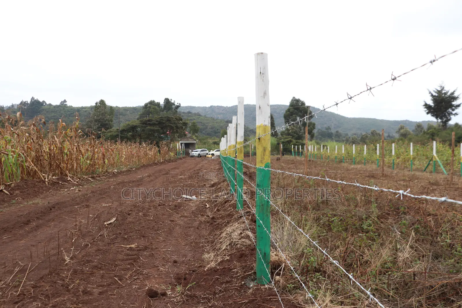 Own Land in Nachu Limited Plots Remaining