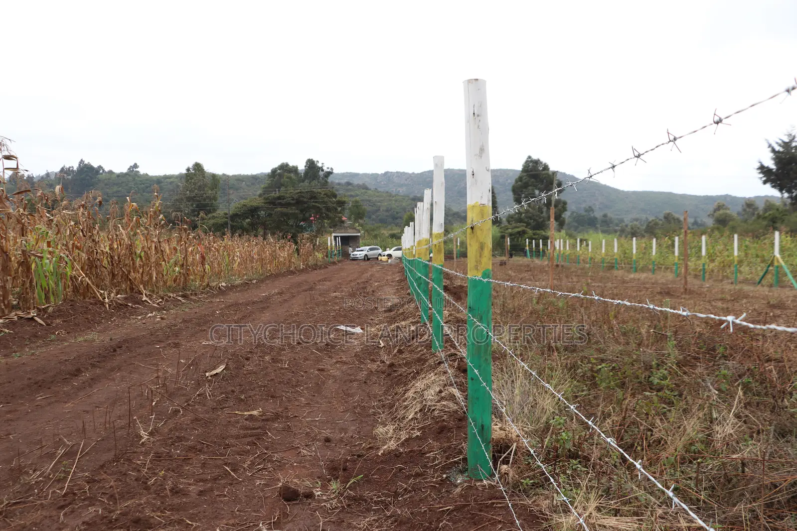 Own Land in Nachu Limited Plots Remaining