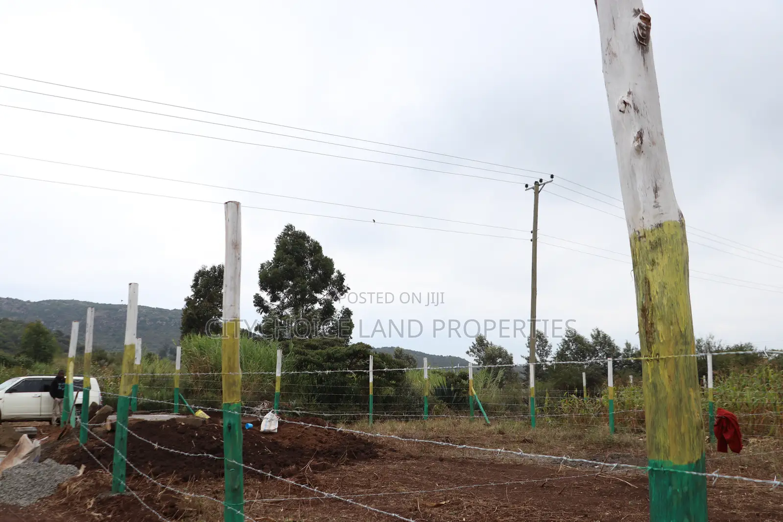Affordable 50x100 Plots for Sale – Mbomboini Estate