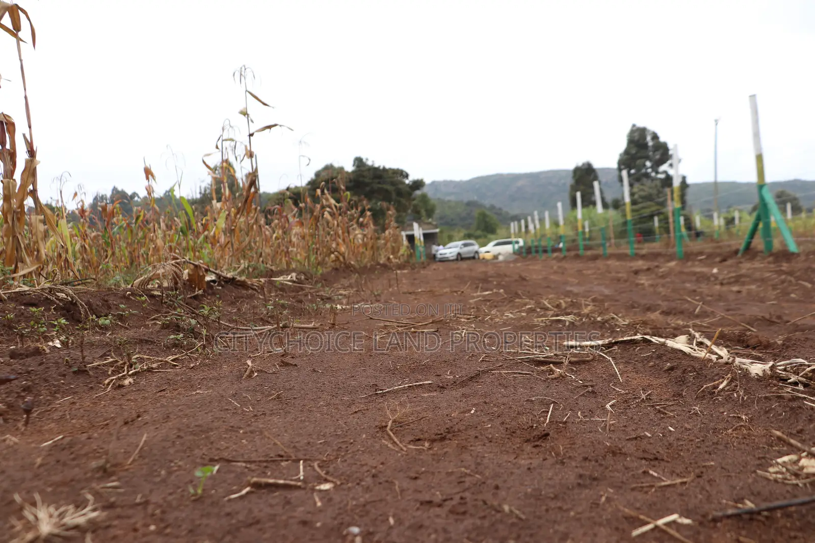 Affordable 50x100 Plots for Sale – Mbomboini Estate