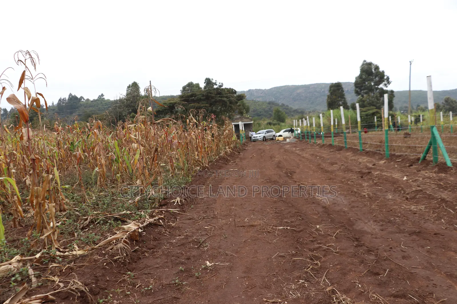 Affordable 50x100 Plots for Sale – Mbomboini Estate