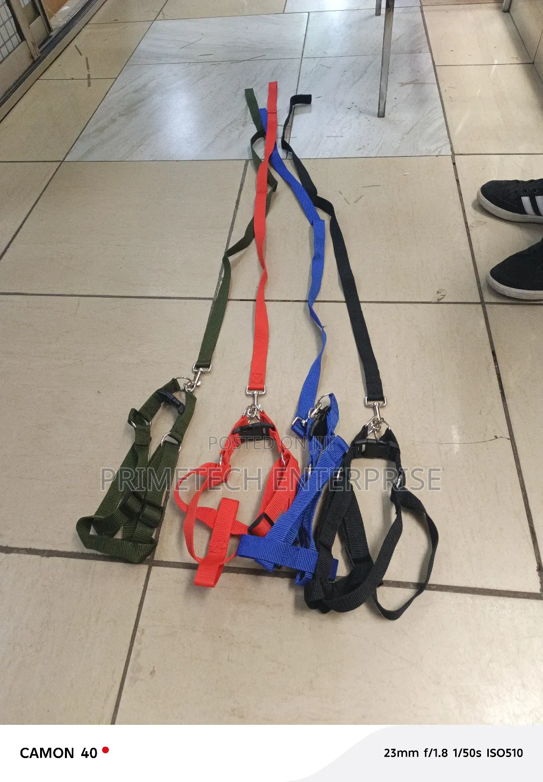Medium to Medium Dogleash