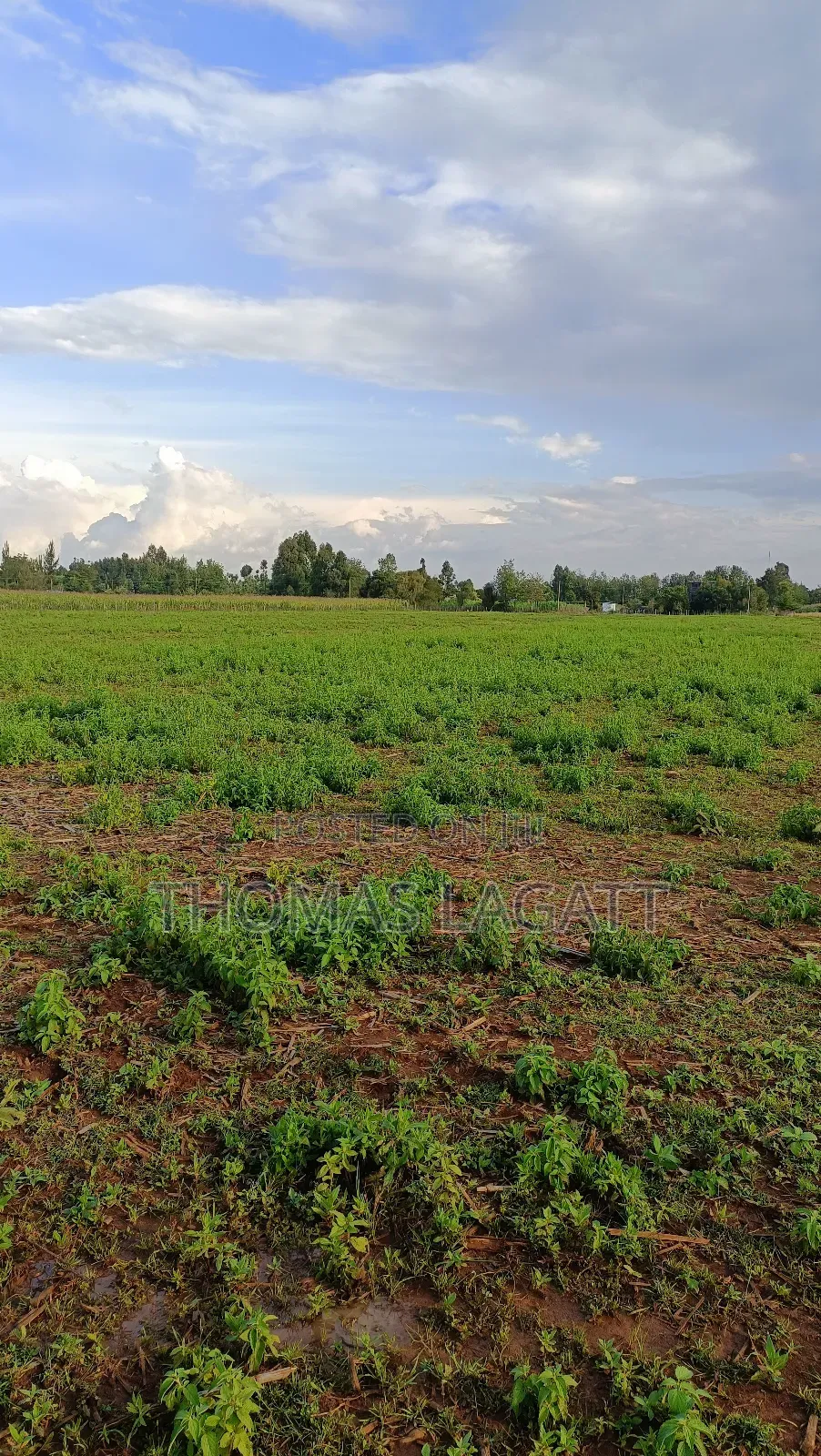 Eldoret Illula Residential Plots on Sale