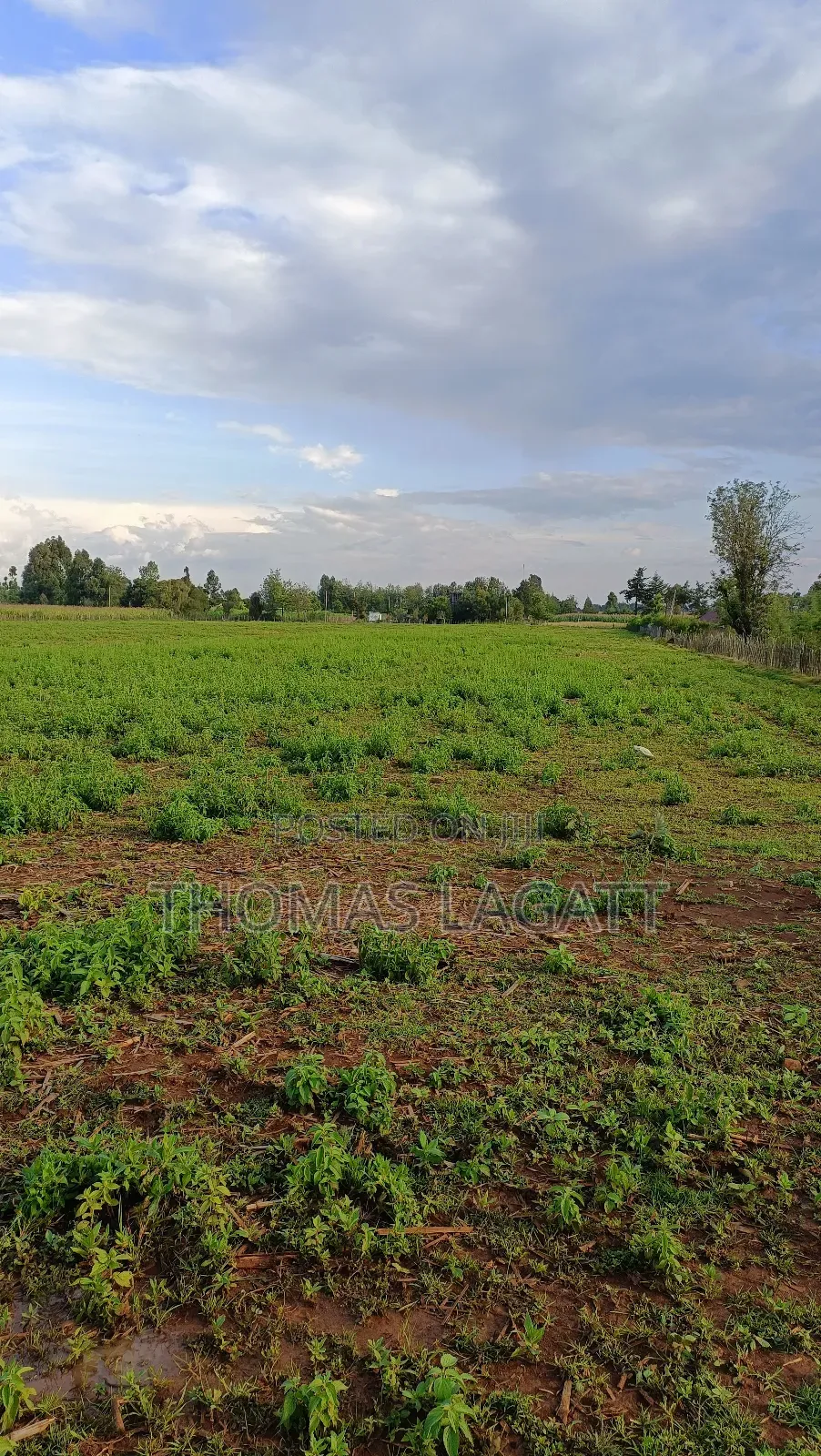 Eldoret Illula Residential Plots on Sale