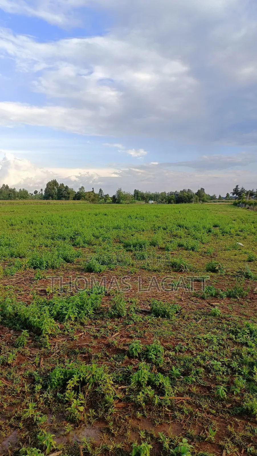 Eldoret Illula Residential Plots on Sale