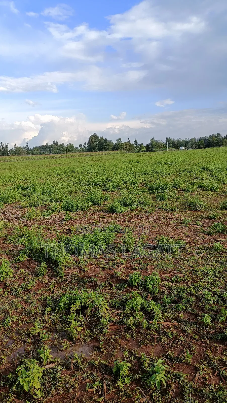 Eldoret Illula Residential Plots on Sale