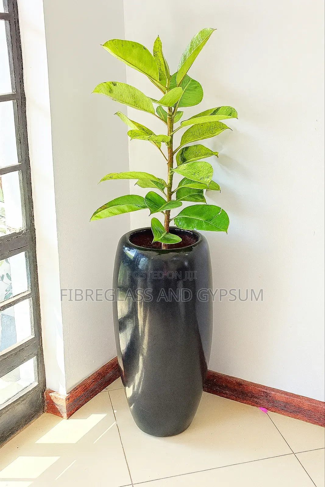 Flower Pots ( Fibreglass Flower Pots)