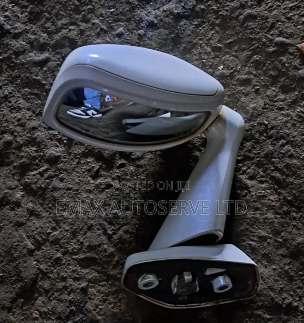 Prado 95 Wing Mirror Ex Japan