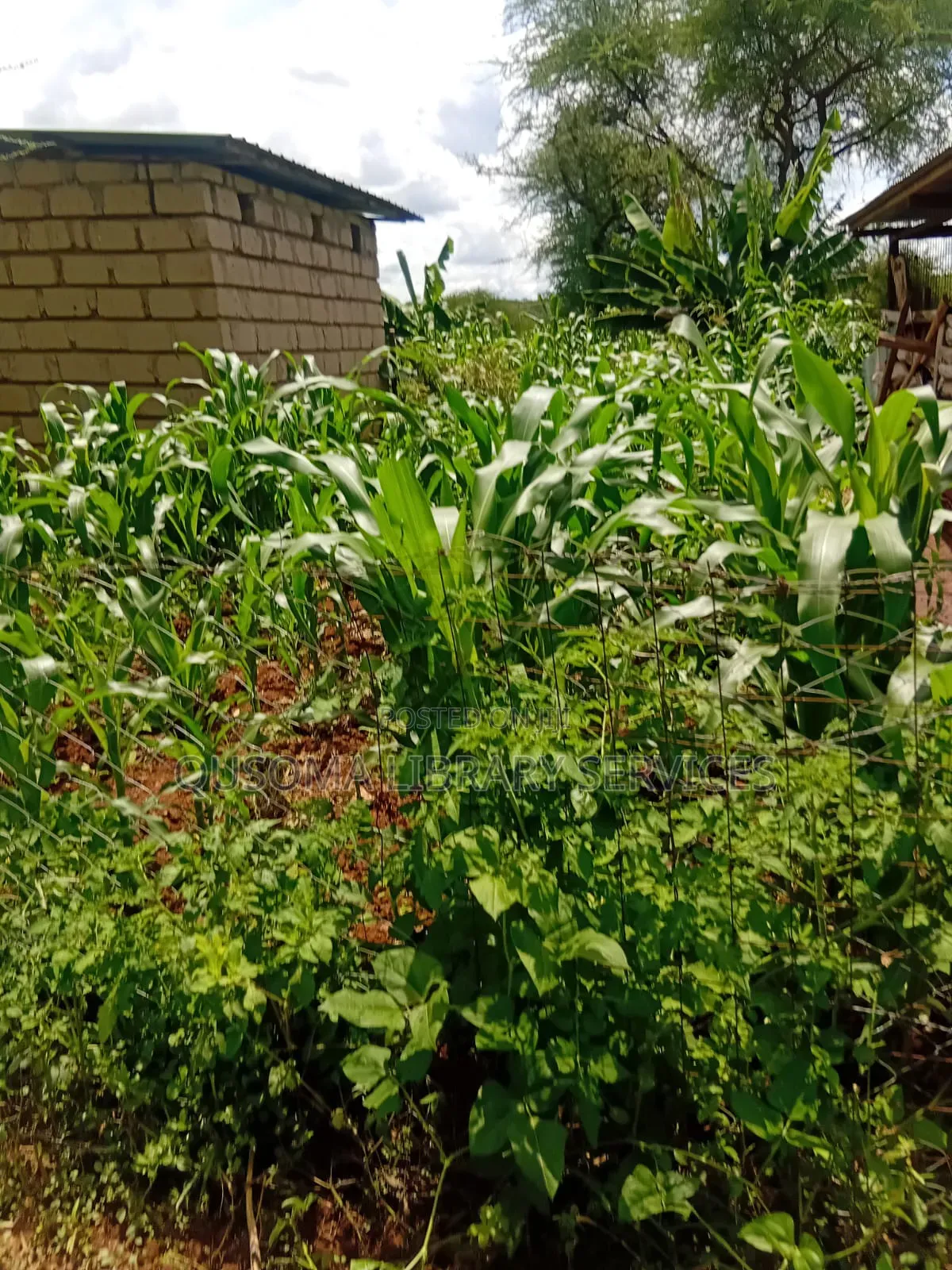 Rare 9.6-Acre Gem, Maili Tisa| Namanga Road, Massive Potential!