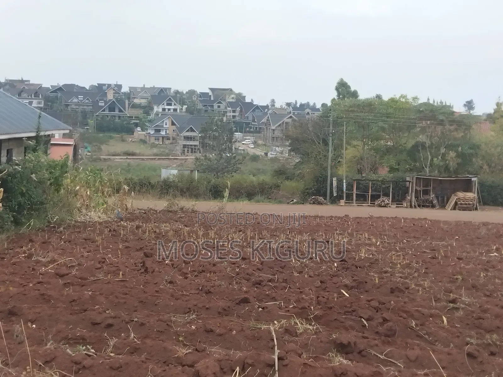 Mugutha Commercial 50x100
