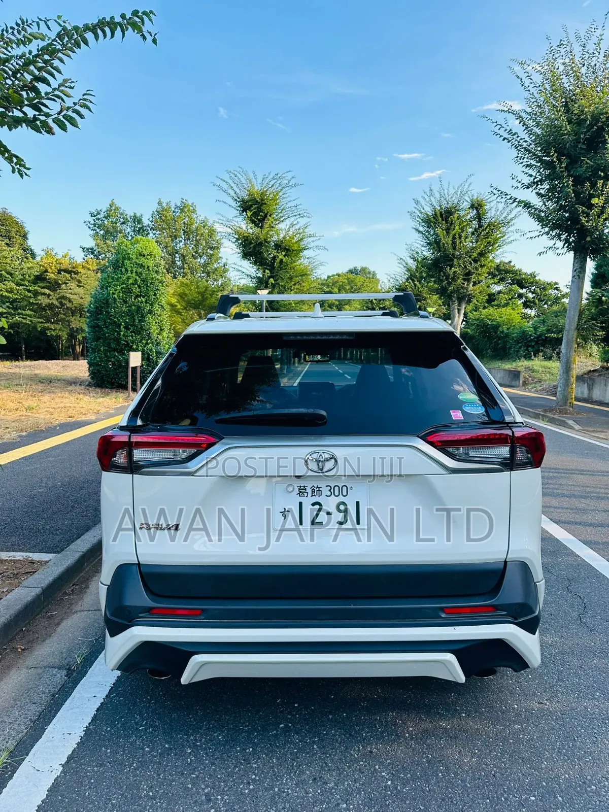 Toyota RAV4 Limited AWD 2019 White