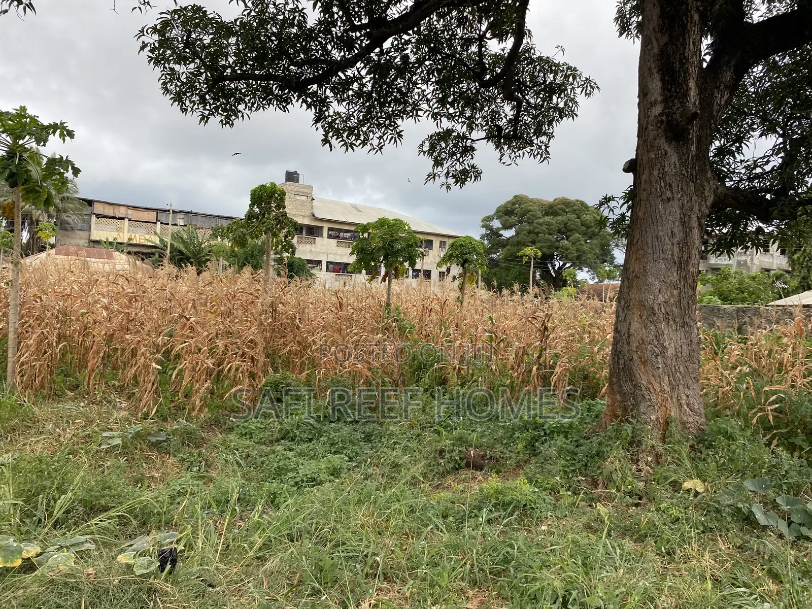 1/4 Acre Plot for Sale in Kongowea Prime for Development