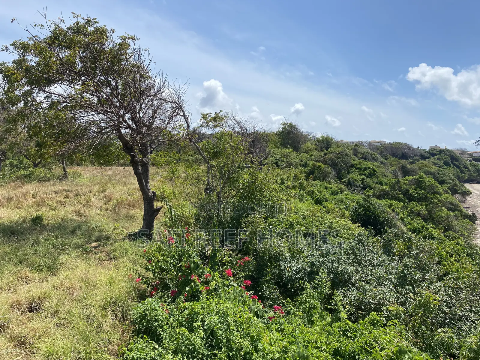 21 Acres Beach Plot in Mombasa for Sale Idea for Hotel