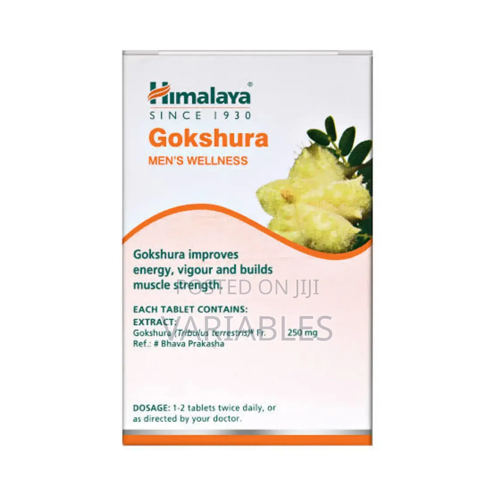 Gokshura Supports Energy, Muscle Strength, and Reproductive Wellness