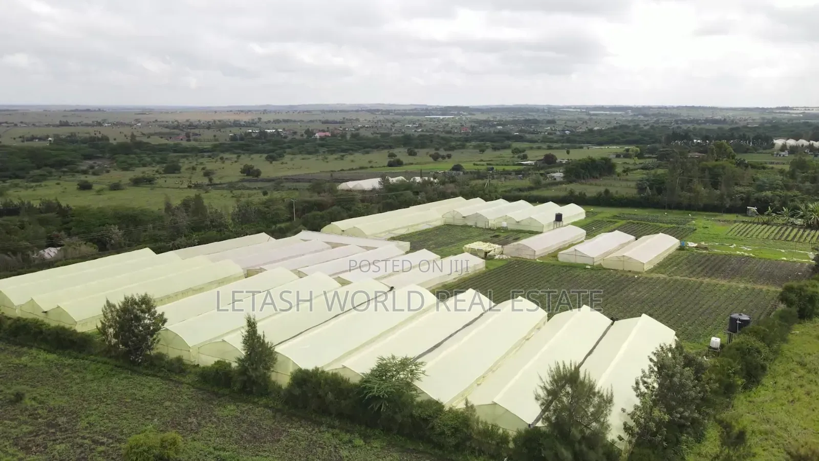 Plains 2 Kitengela, 50 by 100ft Plots,