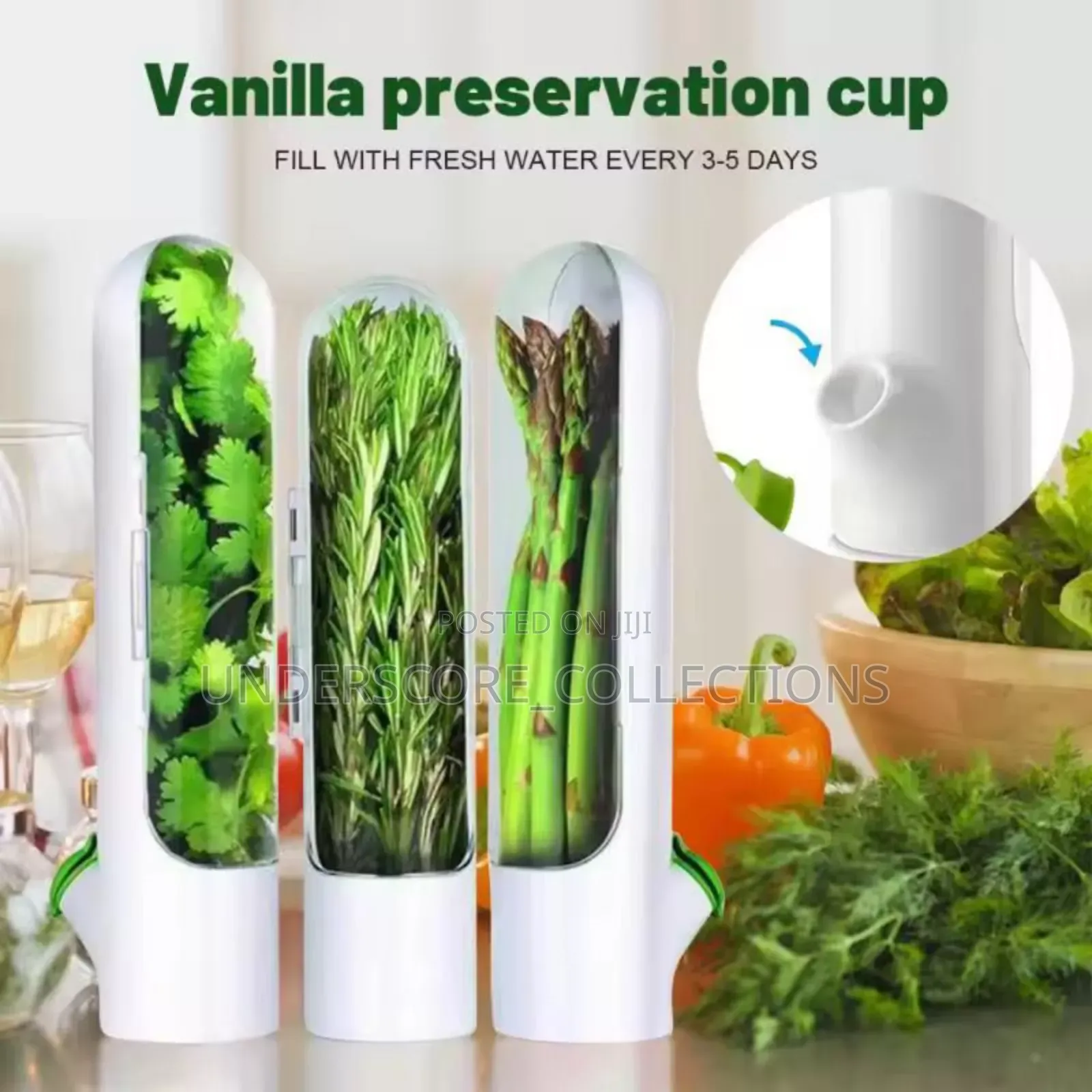 Fresh Herbs Fridge Storage Container