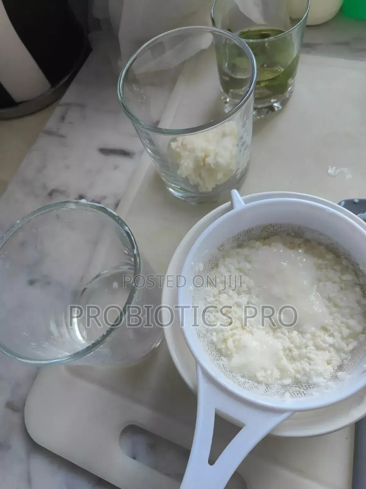 Kefir Grains