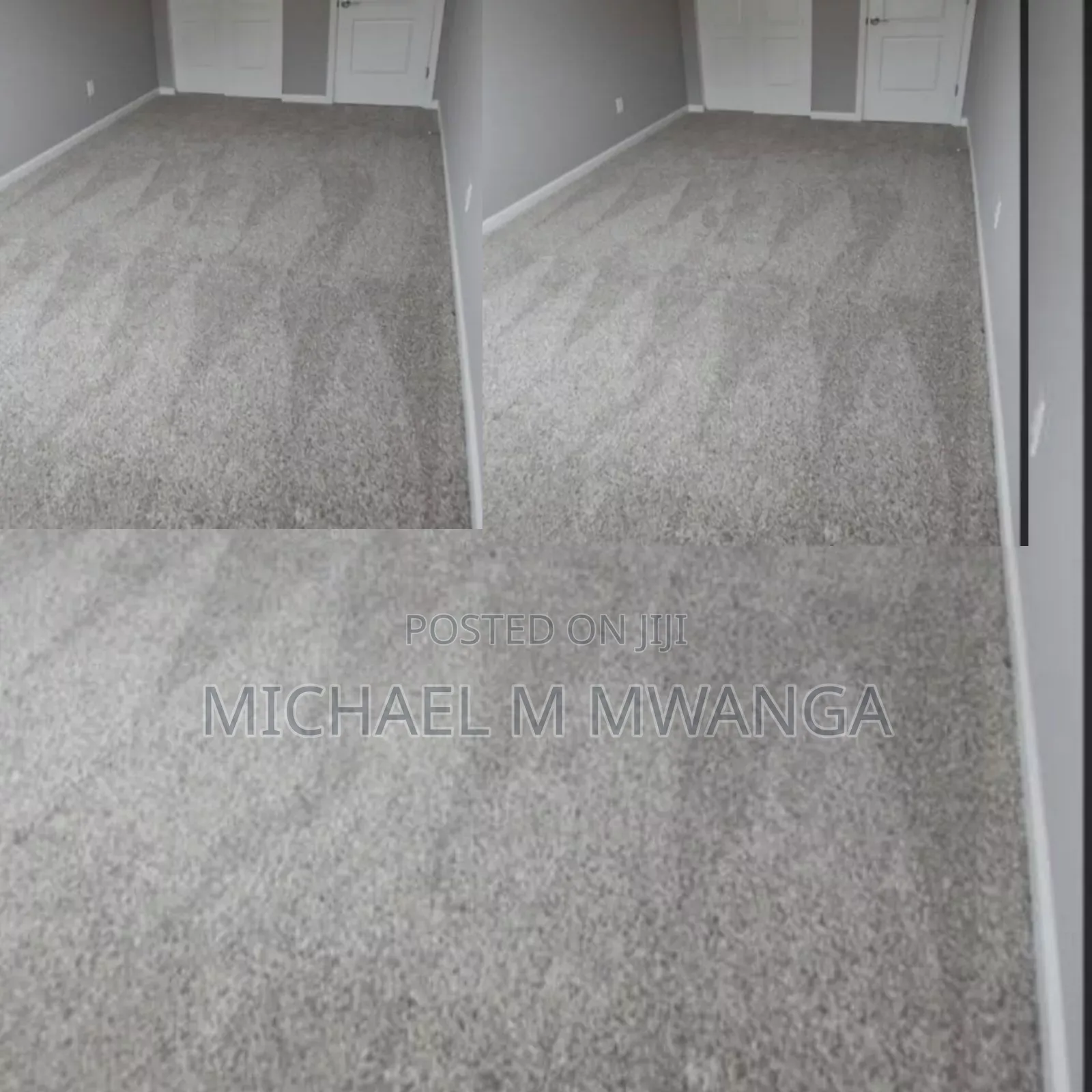 Luxurious Wall-to-Wall Carpet