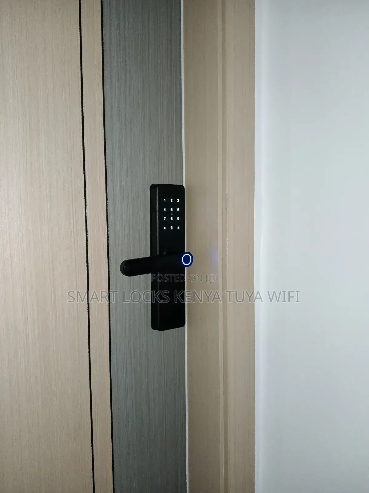 Intelligent Door Lock Tuya Wifi Remote Unlock Fingerprint