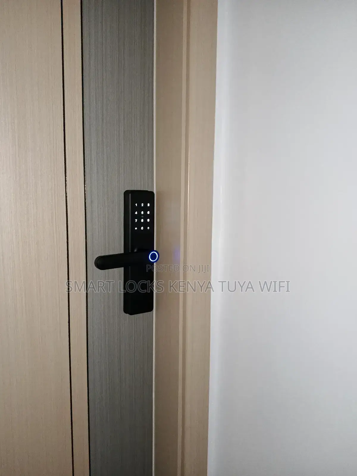 Intelligent Door Lock Tuya Wifi Remote Unlock Fingerprint