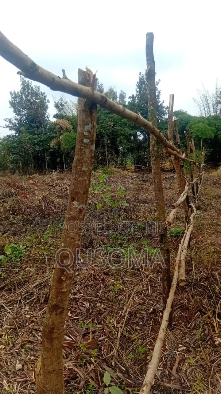 Prime Residential Land Along Kamiti Road in a Gated Community!