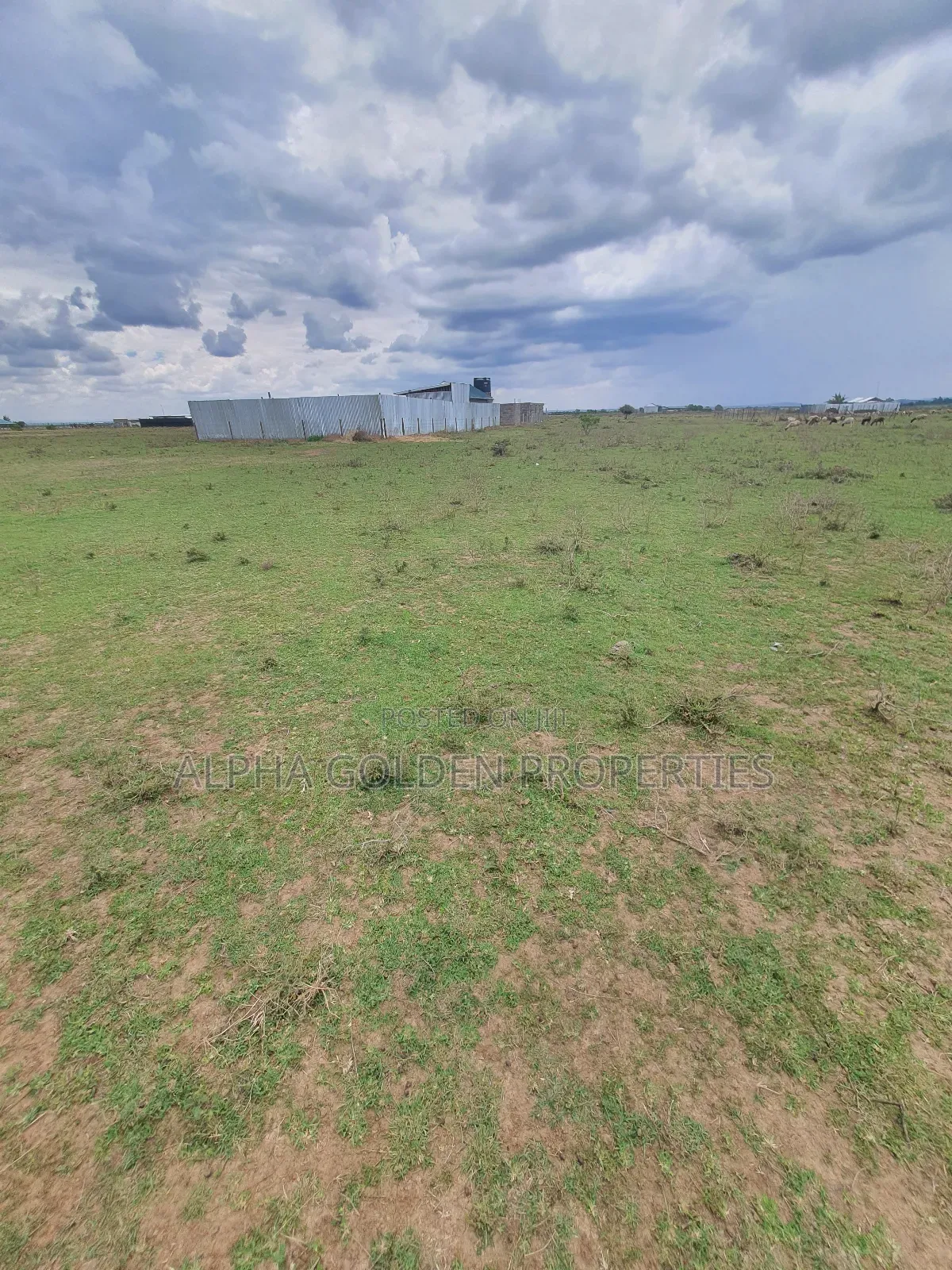 Nanyuki Taji Town Plots
